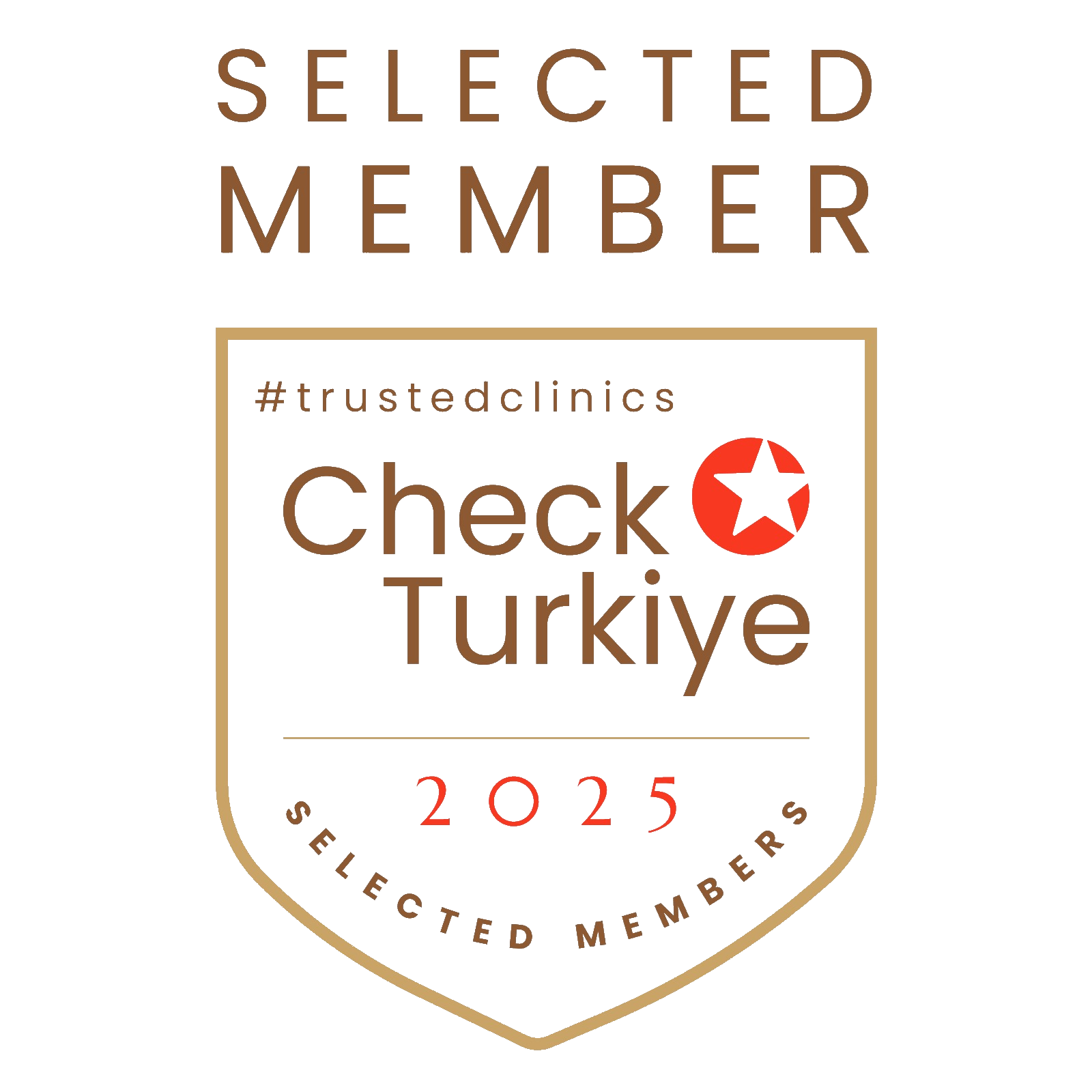 Checkcheck Test Bloggu